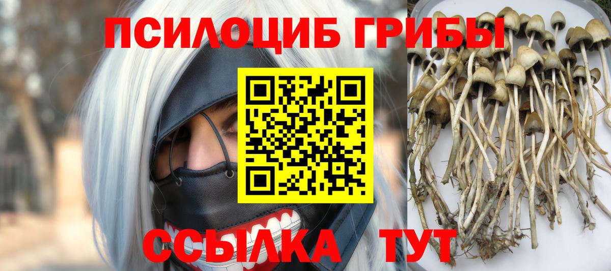 Галлюциногенные грибы мухоморы Изобильный